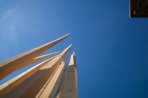 Stacks Image 886